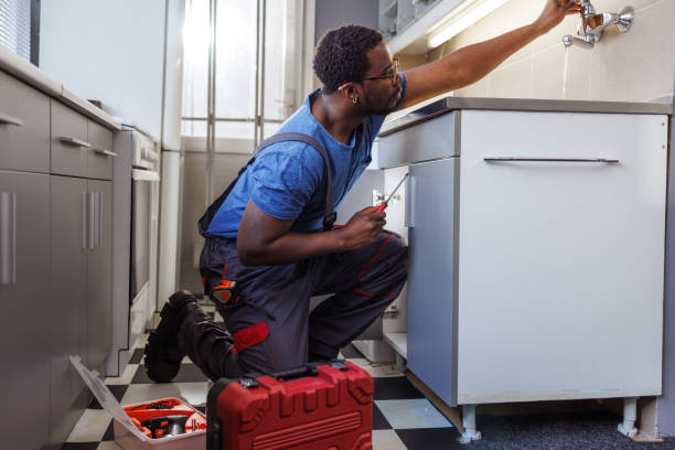 Best Residential Plumbing Services  in White Sulphur Springs, WV