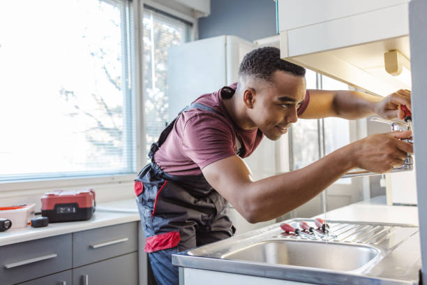 Best Plumbing Inspection Services  in White Sulphur Springs, WV
